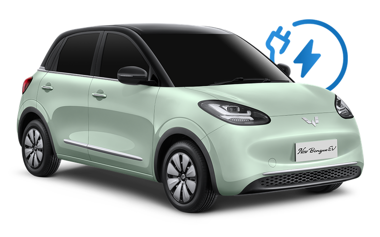 Wuling Binguo EV 官方图